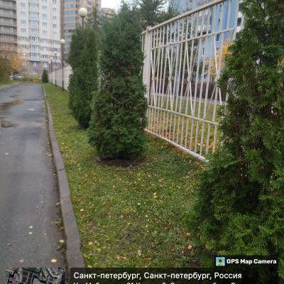 Заботимся о городской среде