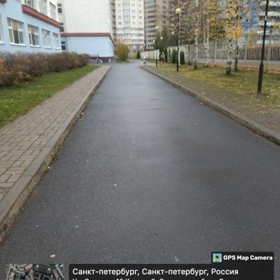 Заботимся о городской среде