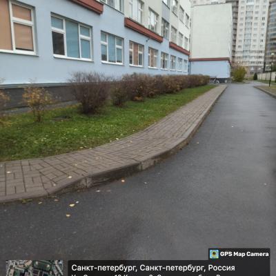 Заботимся о городской среде