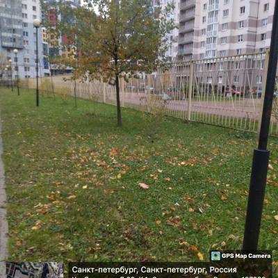 Заботимся о городской среде