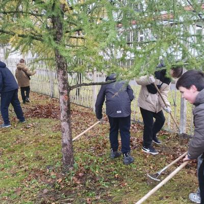 Заботимся о городской среде