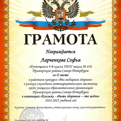 Наши достижения