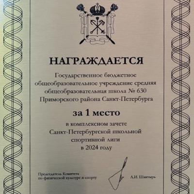 1 место в школьной спортивной лиге!